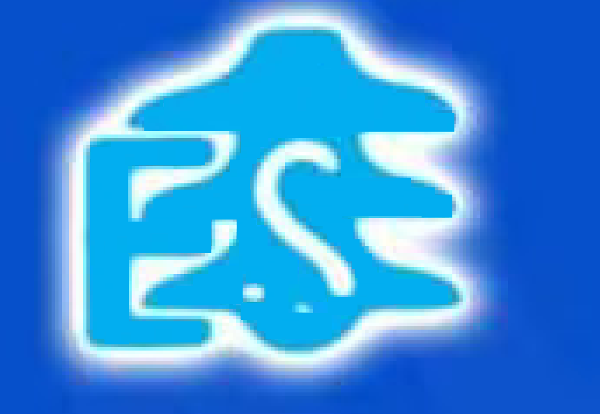 electromechservices.digitalsankalp.com